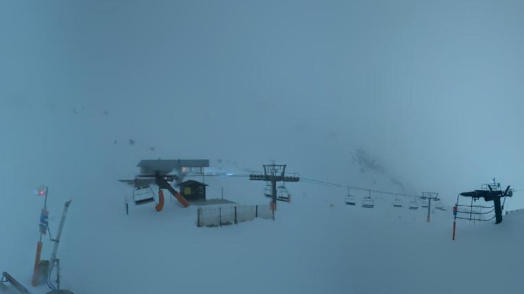 Webcam Vallter 2000: Marmotes