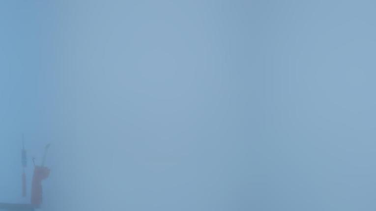 Webcam Vallter 2000: Marmotes