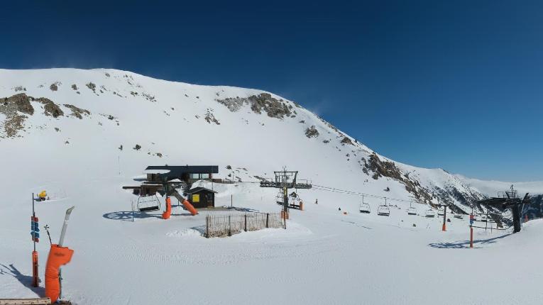 Webcam Vallter 2000: Marmotes