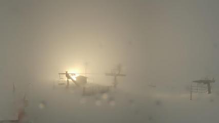 Vallter 2000: Marmotes (pirineu365.cat)