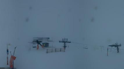 Vallter 2000: Marmotes (pirineu365.cat)