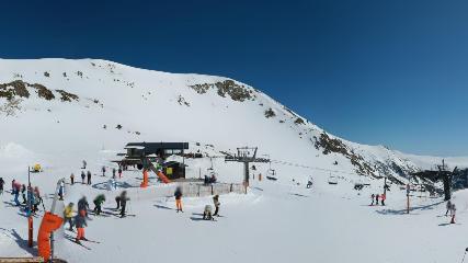 Vallter 2000: Marmotes (pirineu365.cat)