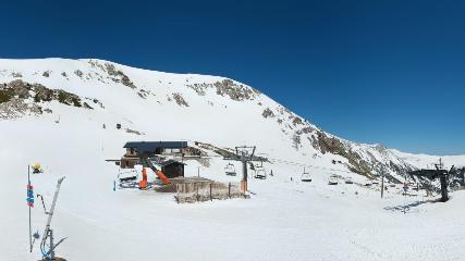Vallter 2000: Marmotes (pirineu365.cat)