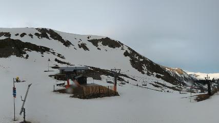 Vallter 2000: Marmotes (pirineu365.cat)