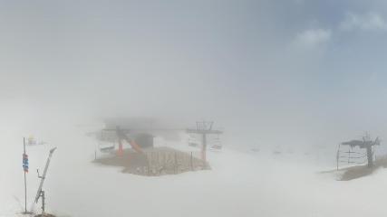 Vallter 2000: Marmotes (pirineu365.cat)