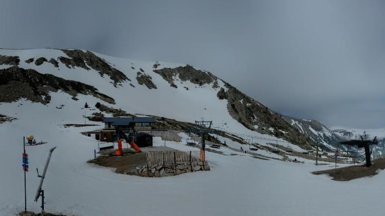 Webcam Vallter 2000: Marmotes