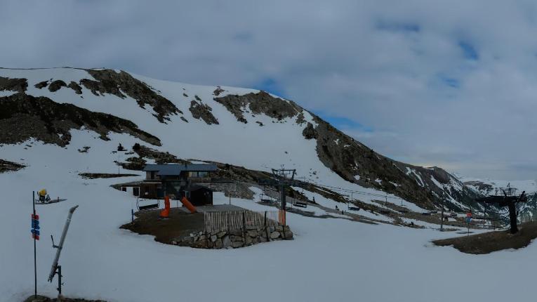 Webcam Vallter 2000: Marmotes