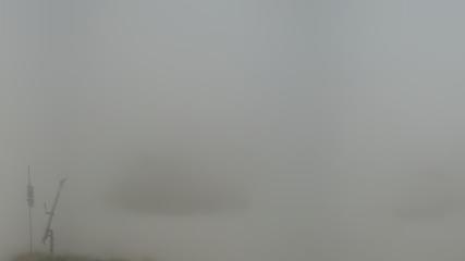 Vallter 2000: Marmotes (pirineu365.cat)