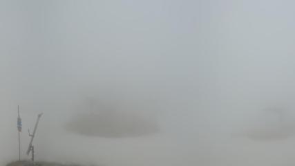 Vallter 2000: Marmotes (pirineu365.cat)