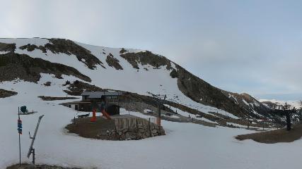 Vallter 2000: Marmotes (pirineu365.cat)
