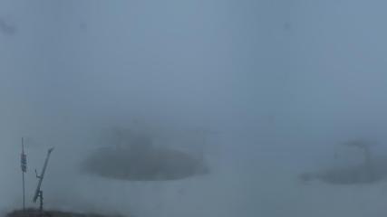 Vallter 2000: Marmotes (pirineu365.cat)