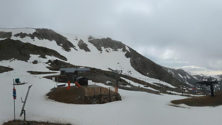 Webcam Vallter 2000: Marmotes