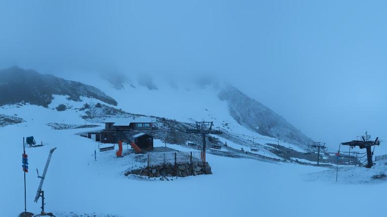 Webcam Vallter 2000: Marmotes