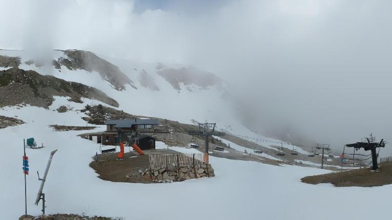 Webcam Vallter 2000: Marmotes