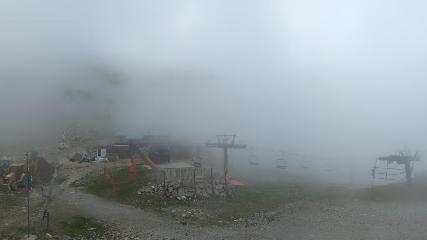 Vallter 2000: Marmotes (pirineu365.cat)