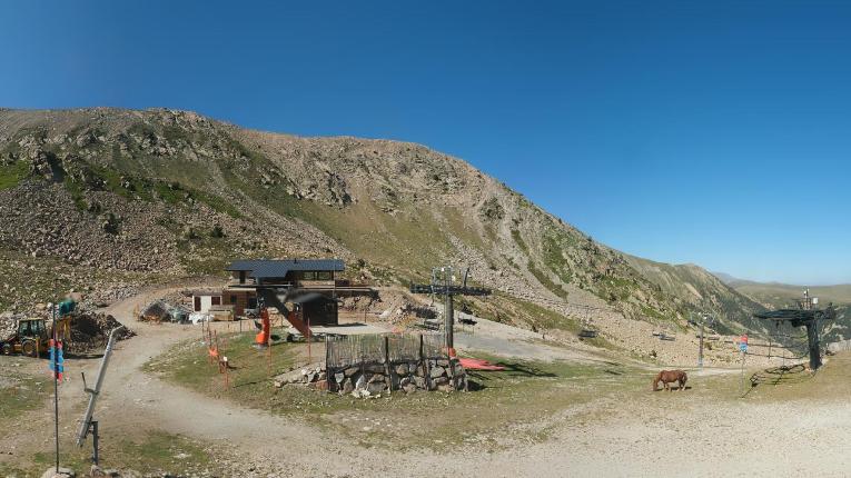Webcam Vallter 2000: Marmotes