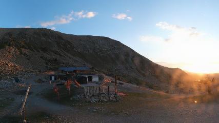 Vallter 2000: Marmotes (pirineu365.cat)