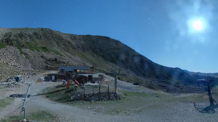Webcam Vallter 2000: Marmotes