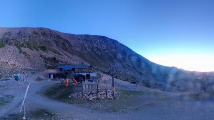 Vallter 2000: Marmotes (pirineu365.cat)