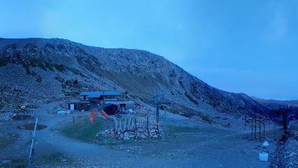 Vallter 2000: Marmotes (pirineu365.cat)