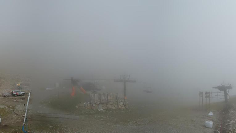 Webcam Vallter 2000: Marmotes