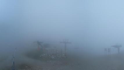 Vallter 2000: Marmotes (pirineu365.cat)