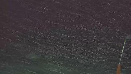 Vallter 2000: Vallter 2300 (ccma.cat)