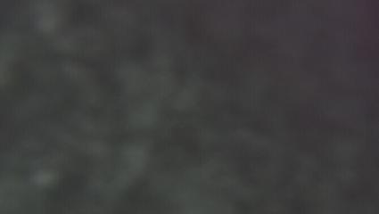 Vallter 2000: Vallter 2300 (ccma.cat)