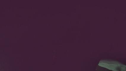 Vallter 2000: Vallter 2300 (ccma.cat)