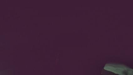 Vallter 2000: Vallter 2300 (ccma.cat)