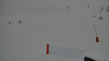 Vallter 2000: Vallter 2300 (ccma.cat)