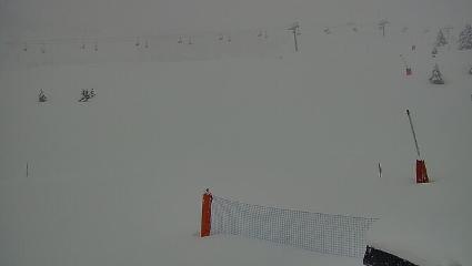 Vallter 2000: Vallter 2300 (ccma.cat)