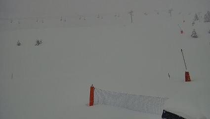 Vallter 2000: Vallter 2300 (ccma.cat)