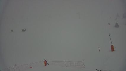 Vallter 2000: Vallter 2300 (ccma.cat)