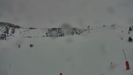 Vallter 2000: Vallter 2300 (ccma.cat)