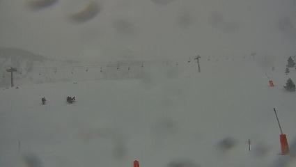 Vallter 2000: Vallter 2300 (ccma.cat)