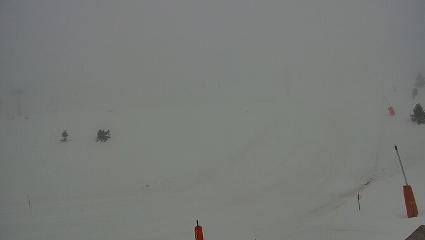 Vallter 2000: Vallter 2300 (ccma.cat)