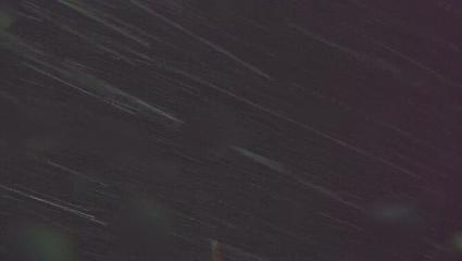 Vallter 2000: Vallter 2300 (ccma.cat)