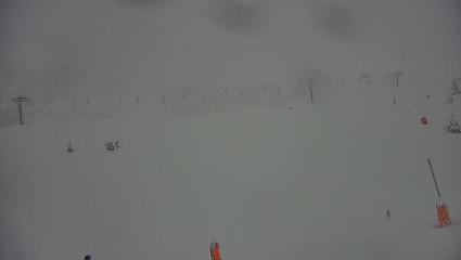 Vallter 2000: Vallter 2300 (ccma.cat)