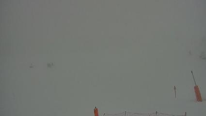 Vallter 2000: Vallter 2300 (ccma.cat)