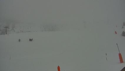 Vallter 2000: Vallter 2300 (ccma.cat)