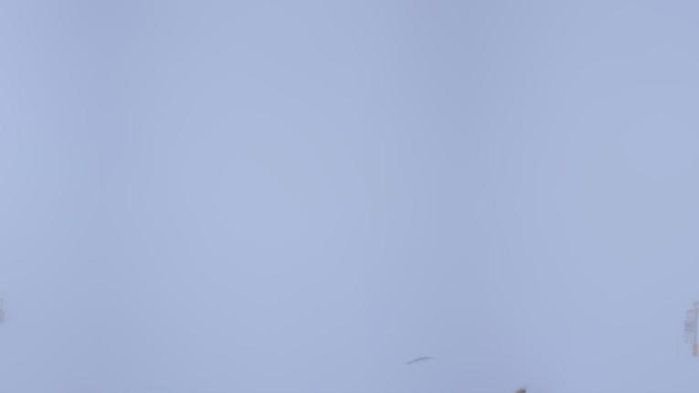 Webcam Verbier: Fontanet