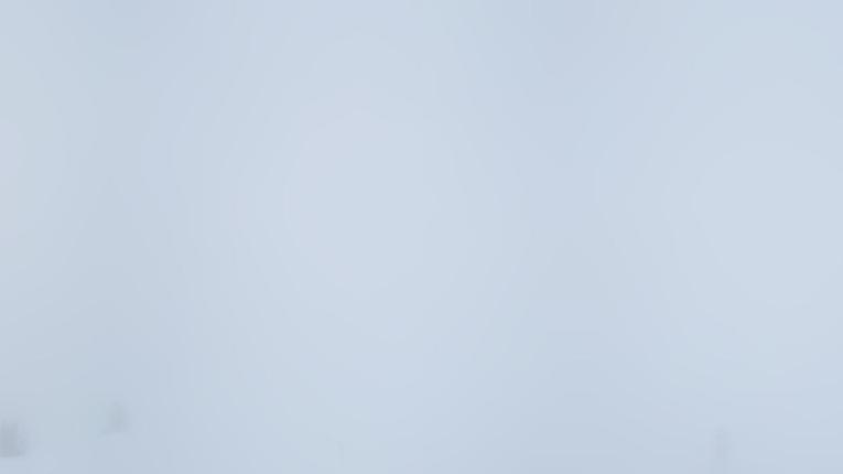 Webcam Verbier: Savoleyres