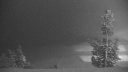 Wenatchee Mission Ridge: Sunspot (missionridge.com)