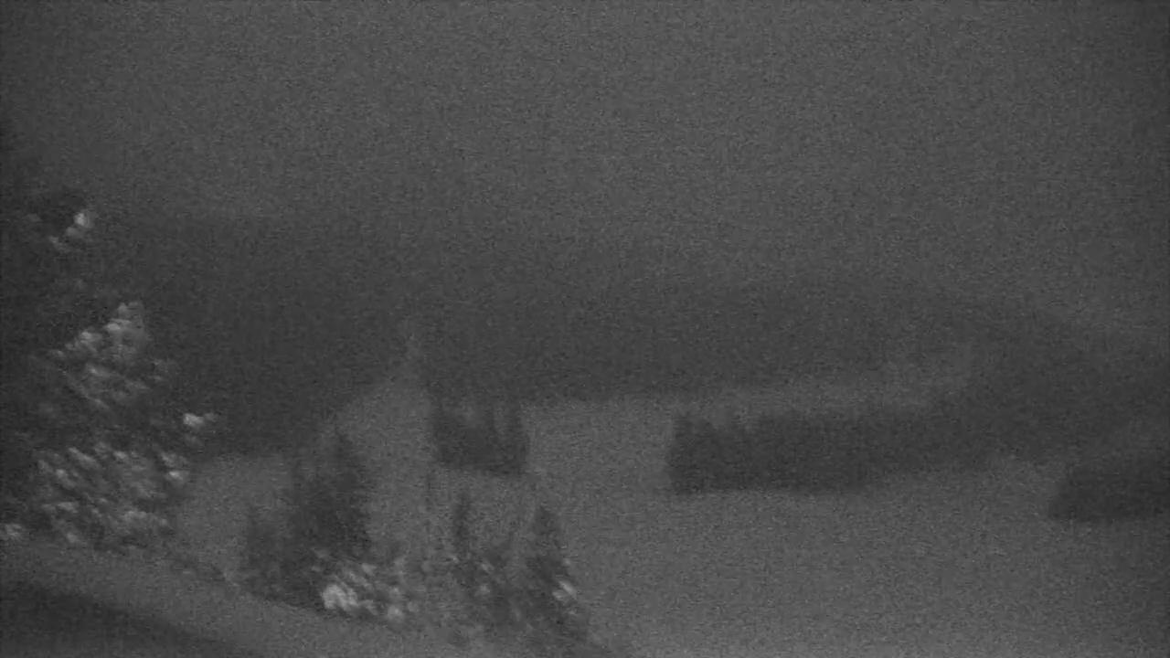 Webcam Wenatchee Mission Ridge: Sunspot