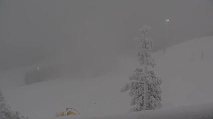 Wenatchee Mission Ridge: Sunspot (missionridge.com)