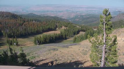 Wenatchee Mission Ridge: Sunspot (missionridge.com)