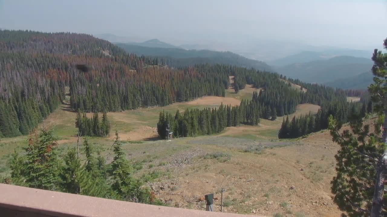 Webcam Wenatchee Mission Ridge: Sunspot