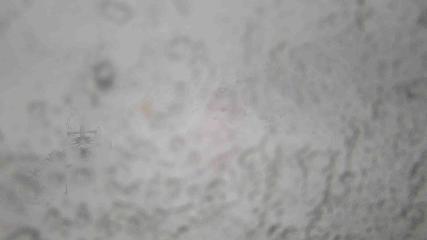 Whakapapa: Happy valley (mtruapehu.com)