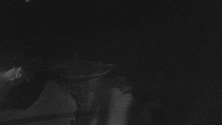 Webcam Whakapapa: Happy valley